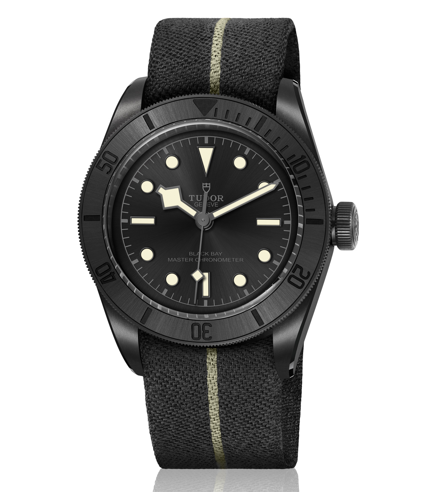 Tudor Black Bay Ceramic m79210cnu 0001 watch 2