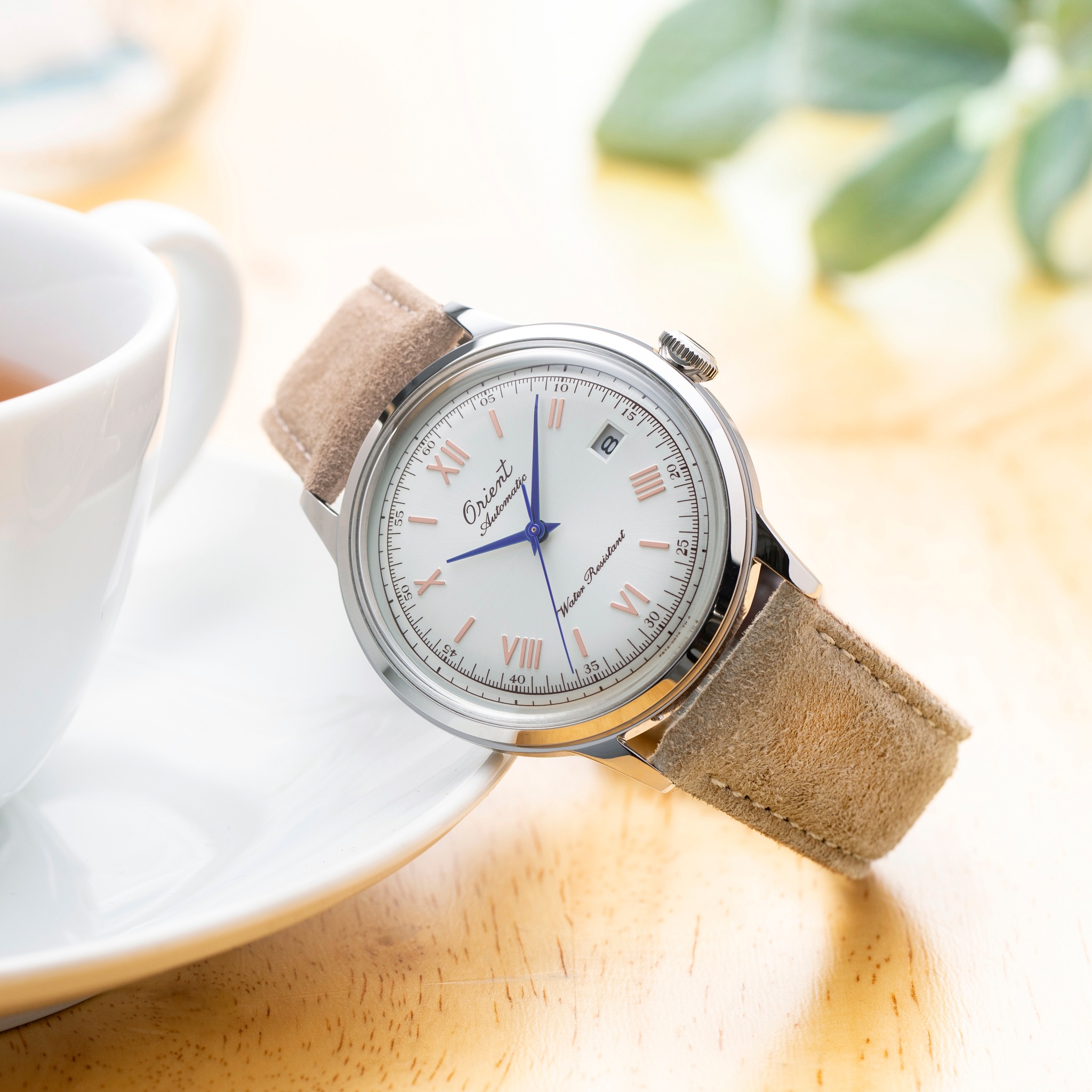 495089684 122148501656403488 4092329729947930707 n